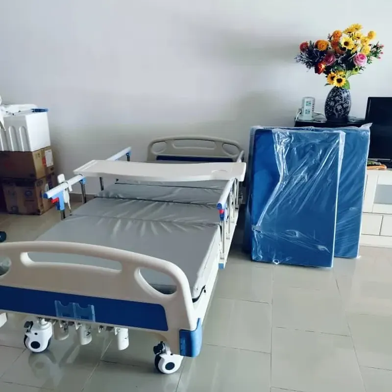 Hospital bed set up in a bright living room at home